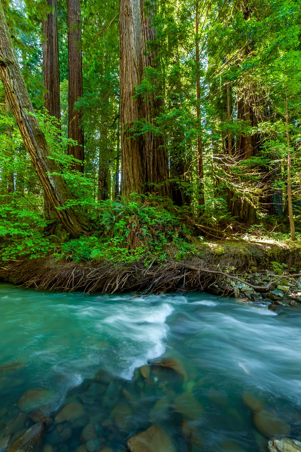 River Campground
