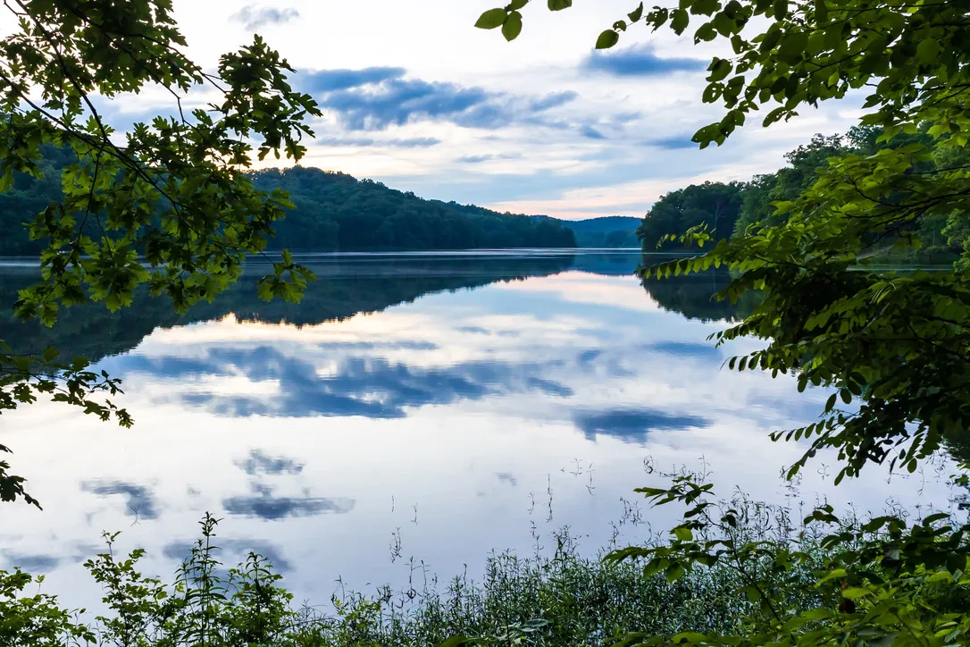 Yellowwood State Forest