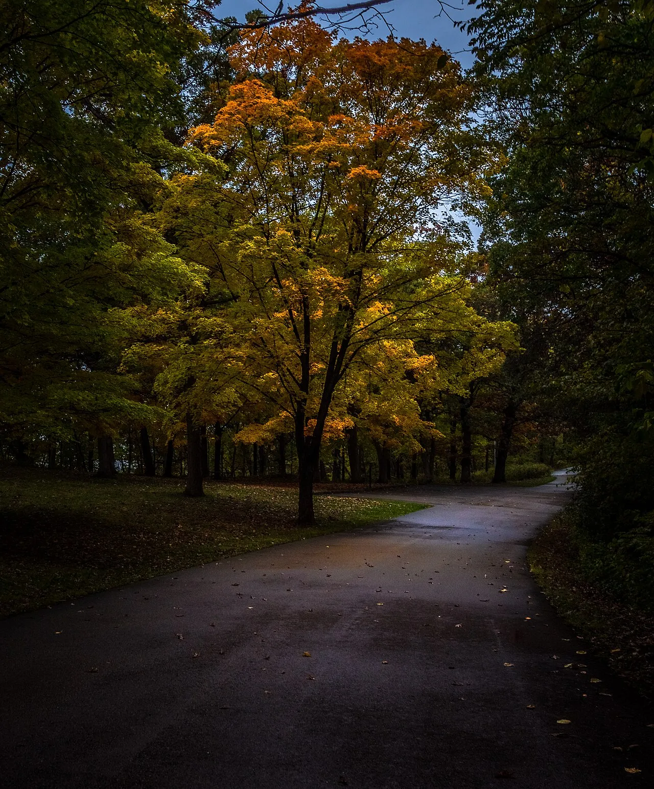 Nelson Dewey State Park