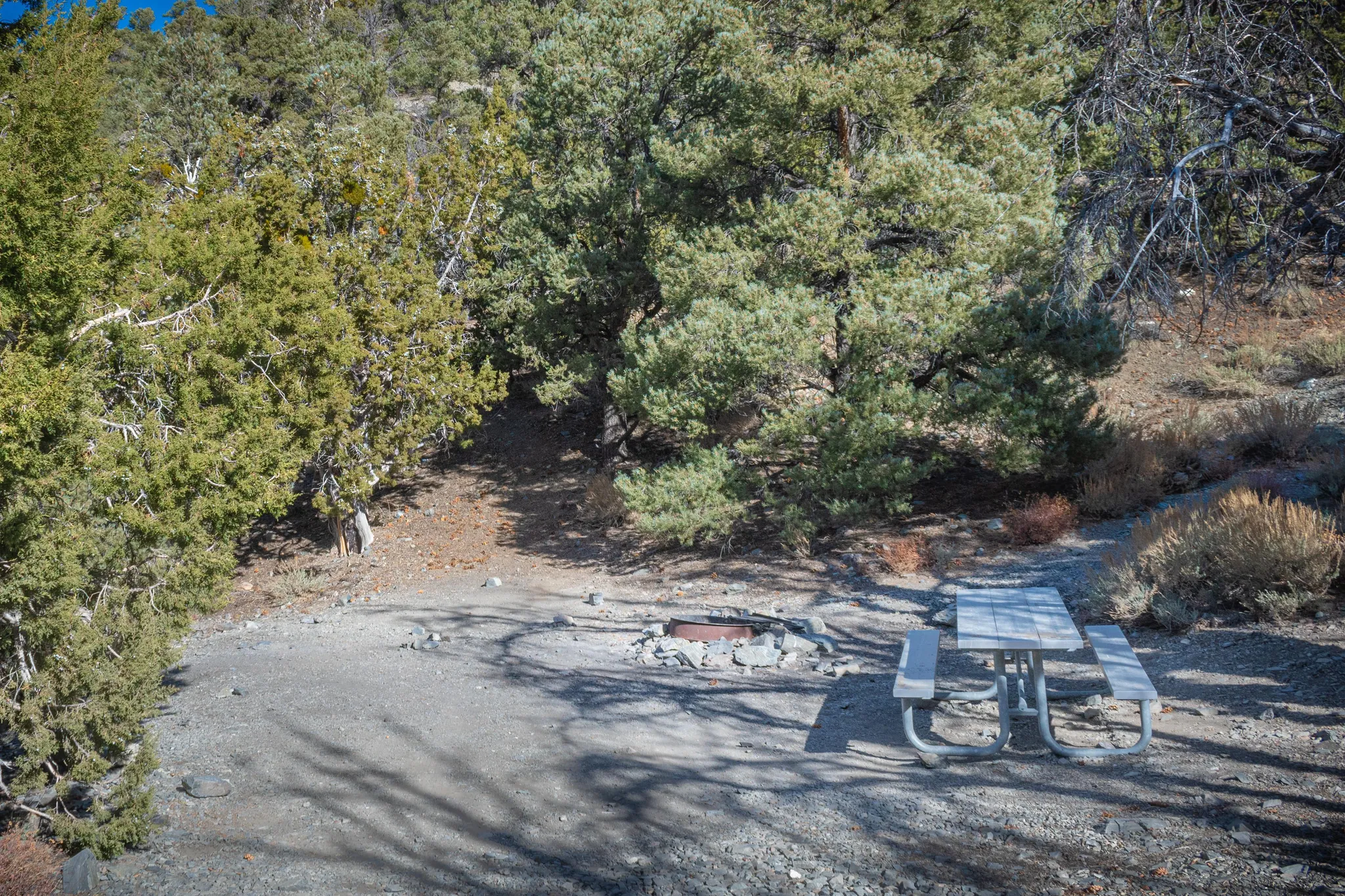 Thorndike Campground (Primitive)