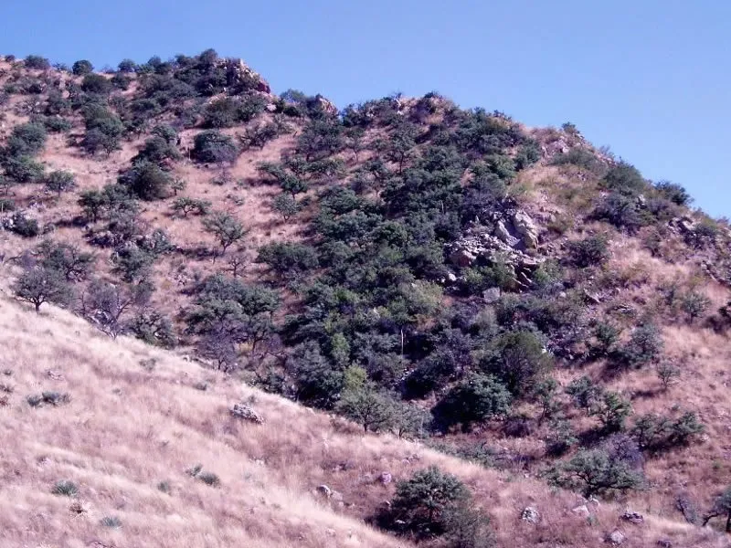 Mcdonald Flats Campground