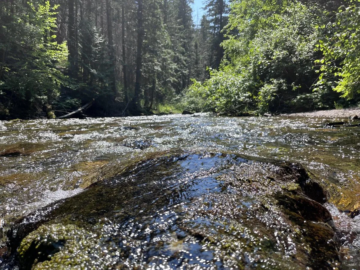 Trout Creek Campground