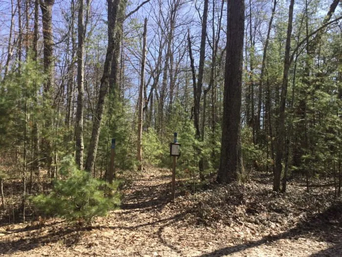 Leverentz Lake State Forest Campground