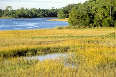 Skidaway Island State Park