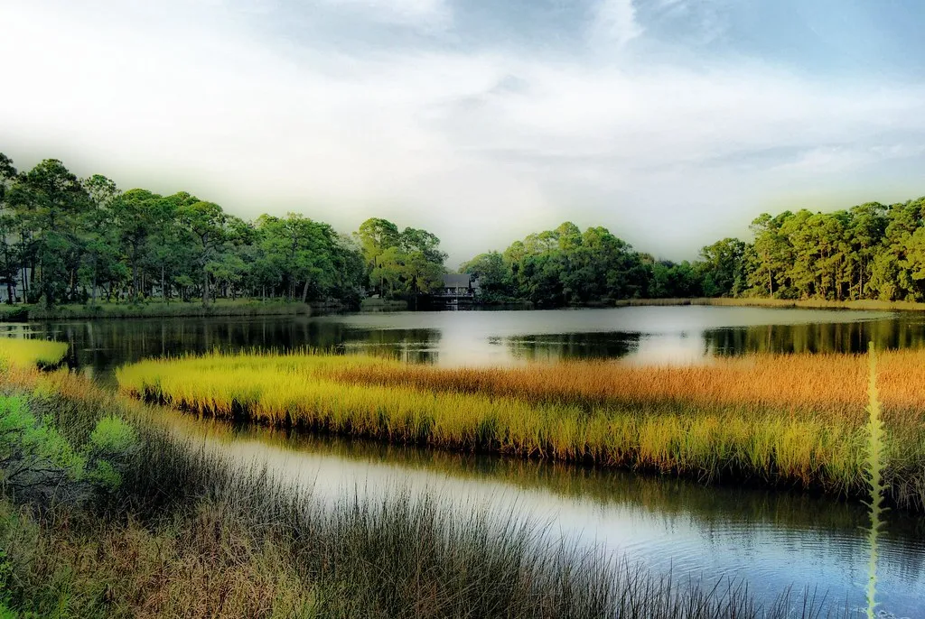 Heron Lake