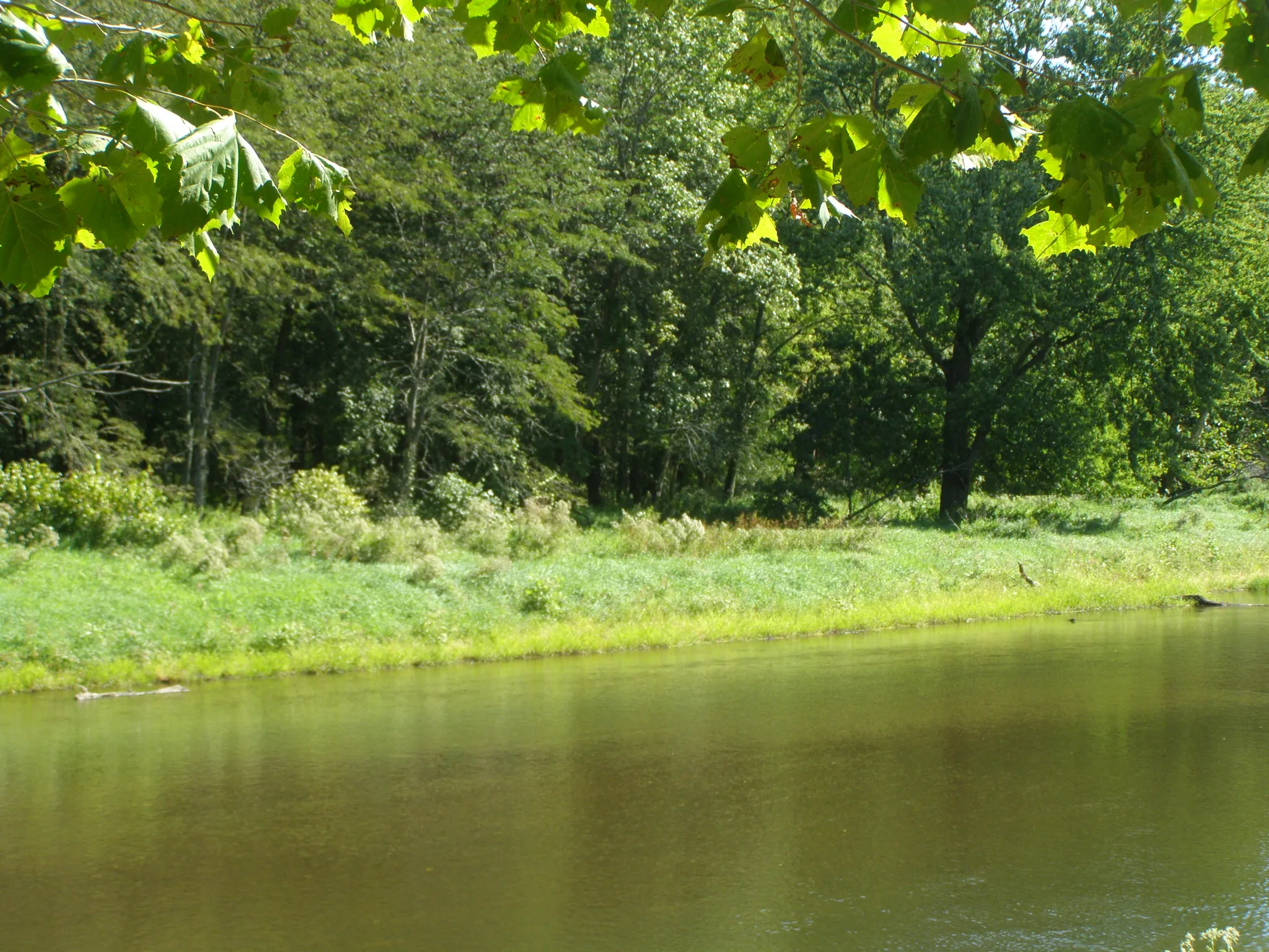 Tippecanoe River State Park