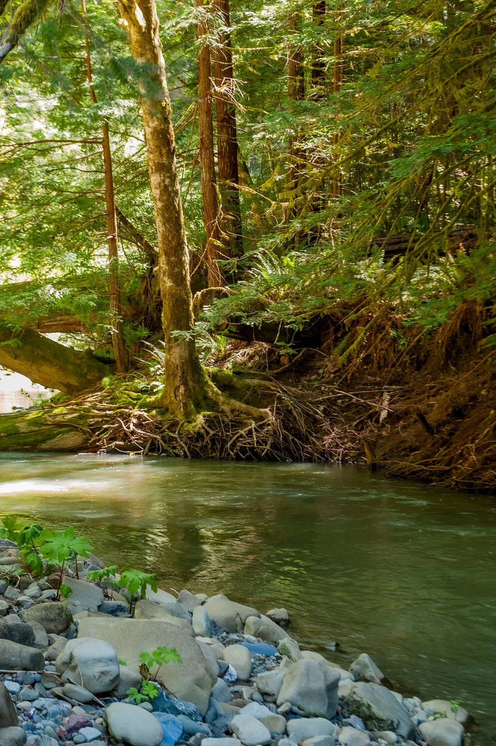 River Campground