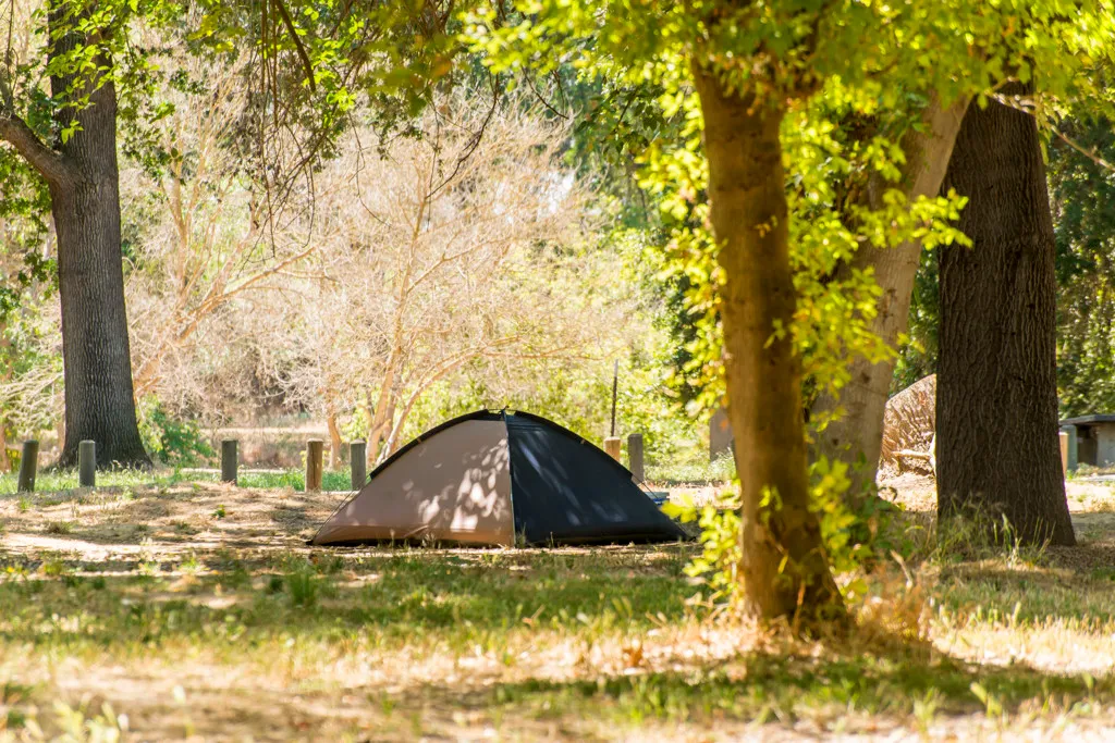 Mcconnell State Recreation Campground