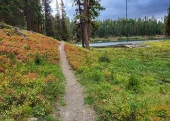 Rock Springs Campground
