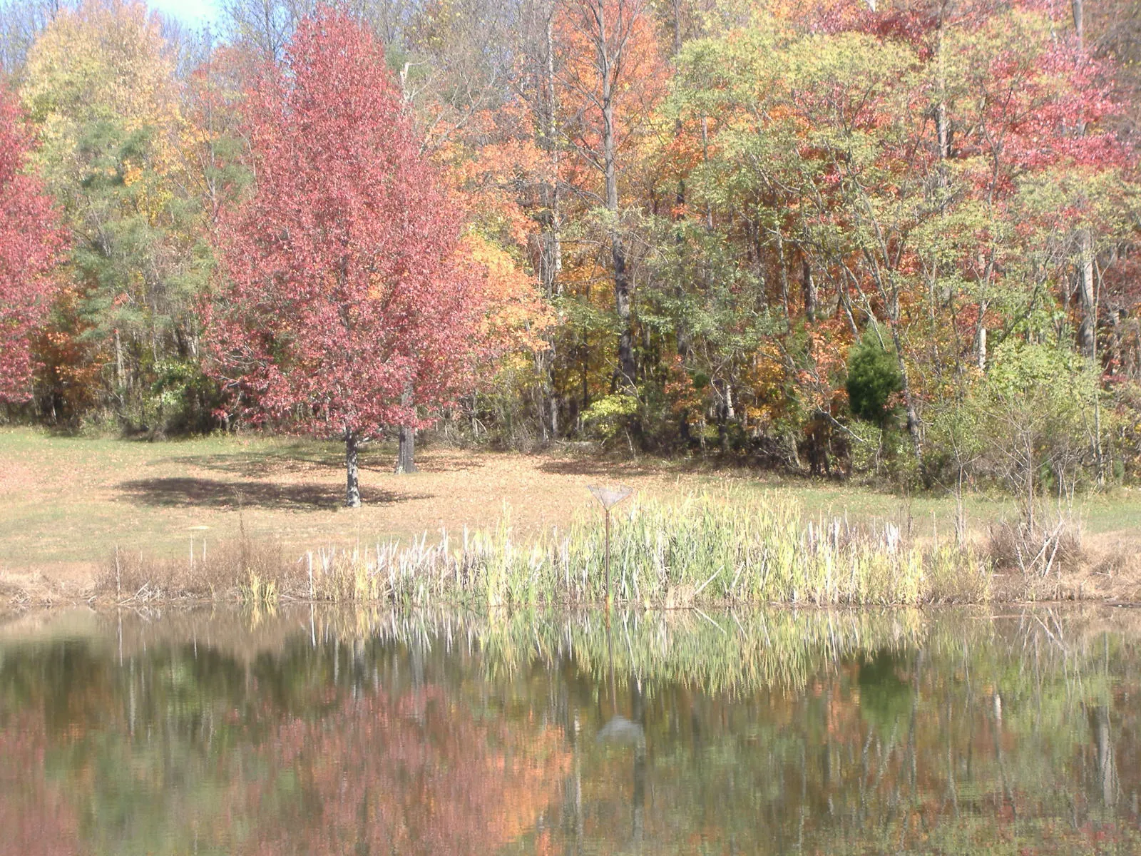 Obannon Woods State Park