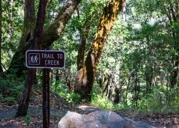 Fir Creek Campground