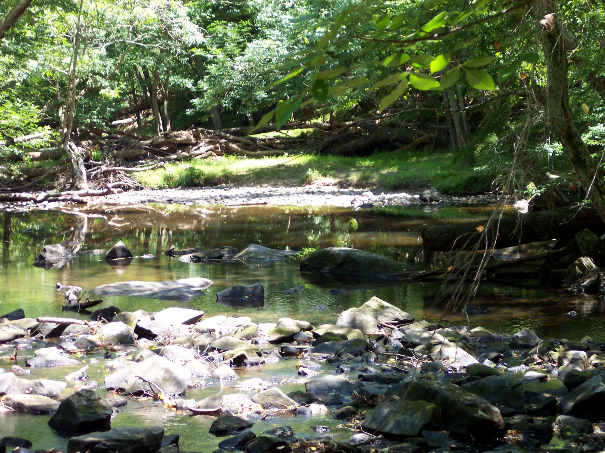 William B. Umstead State Park