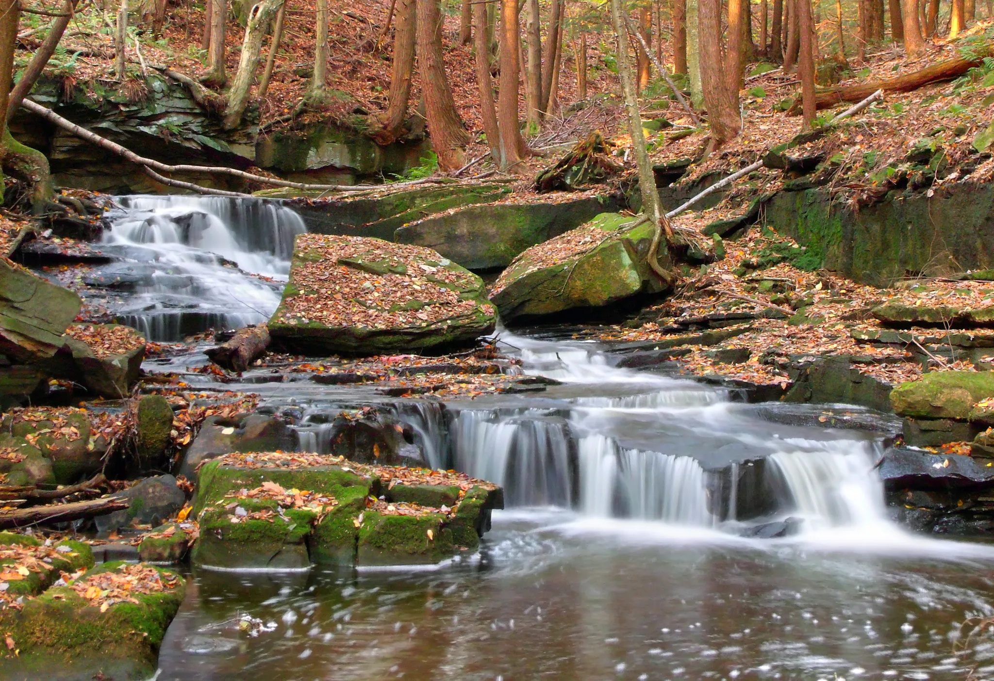 Maurice K Goddard State Park