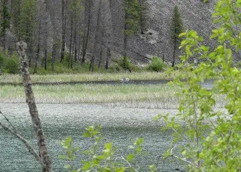 Trout Lake Campground