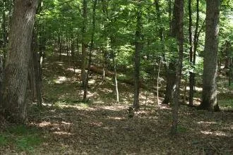 Coyote Campground
