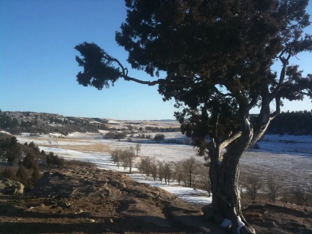 Castlewood Canyon Campground