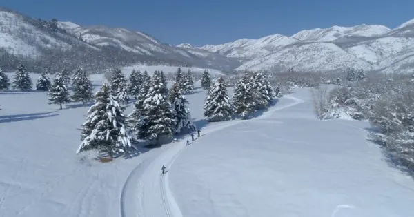 Wasatch Mountain State Park