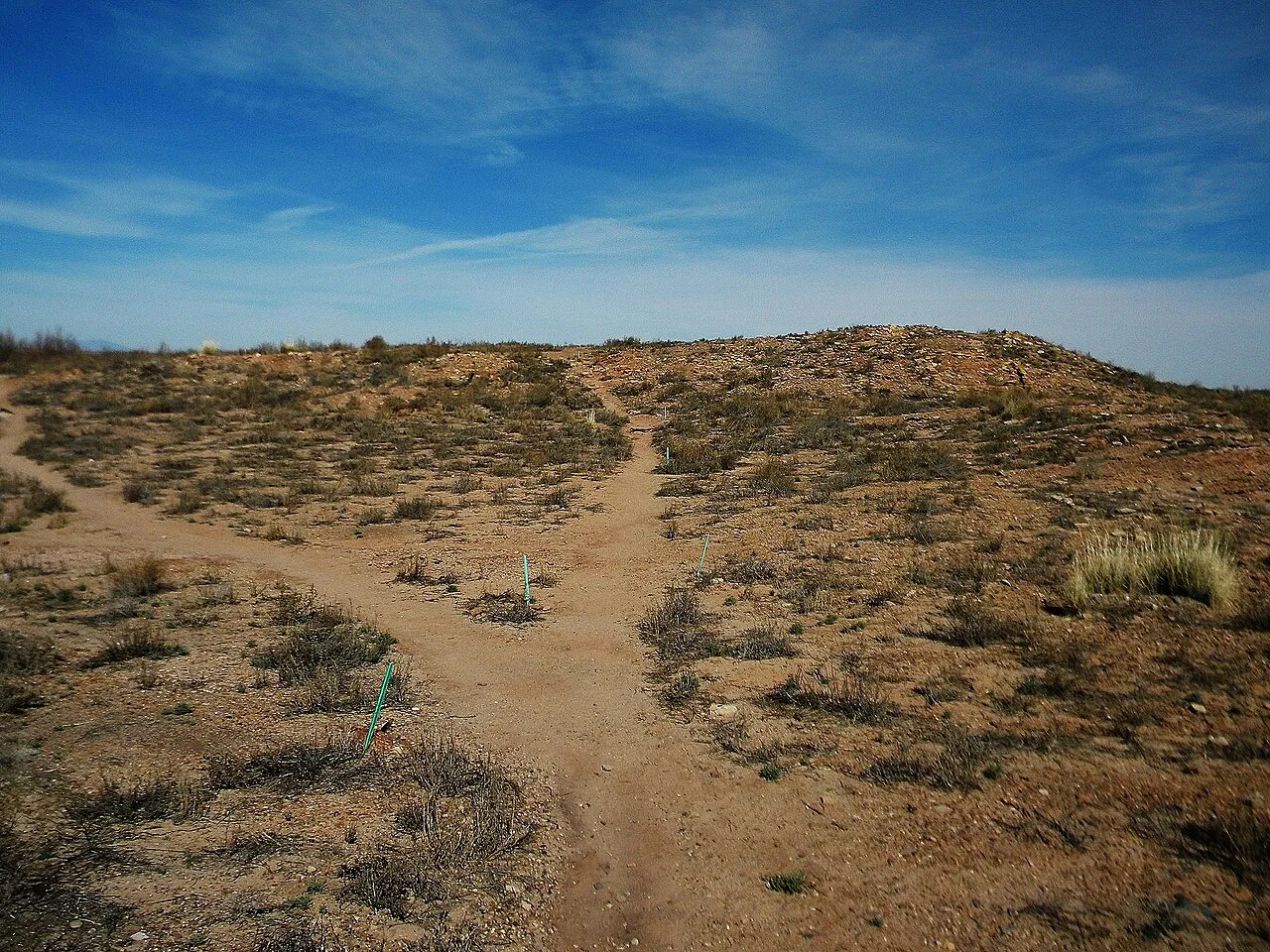 West Loop Campground