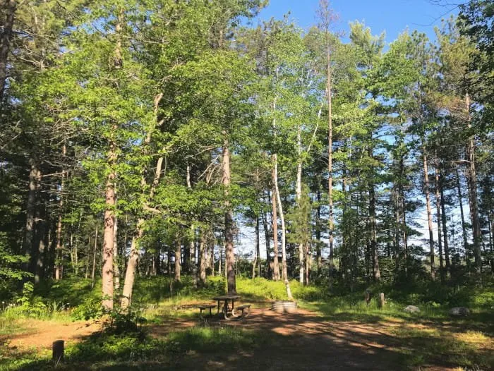 Andrus Lake State Forest Campground