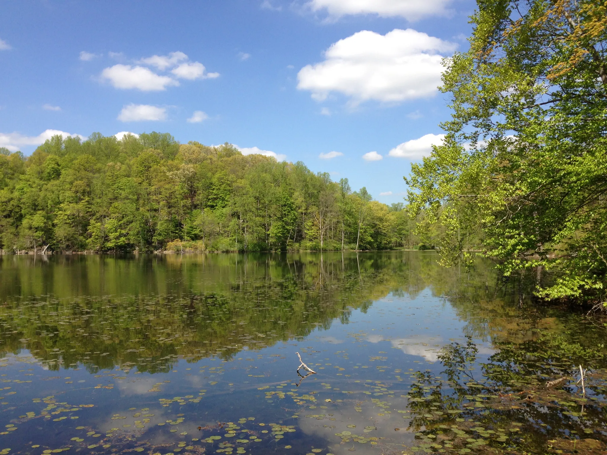 Jenny Jump Campground