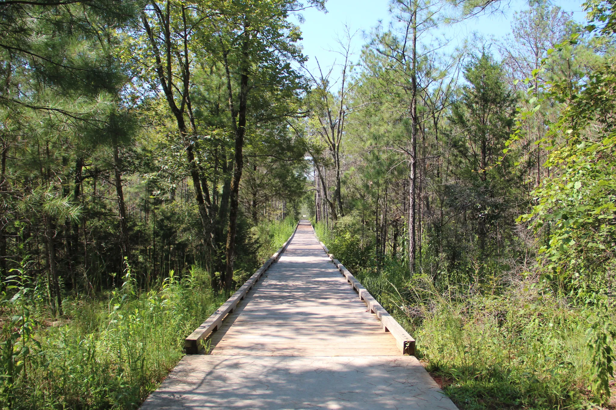 Panola Mountain State Park