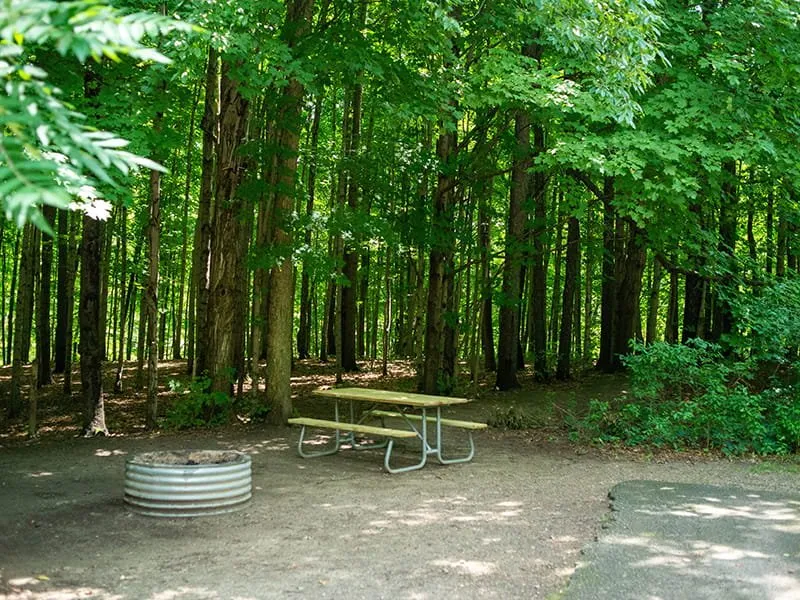 Pinney Bridge State Forest Campground