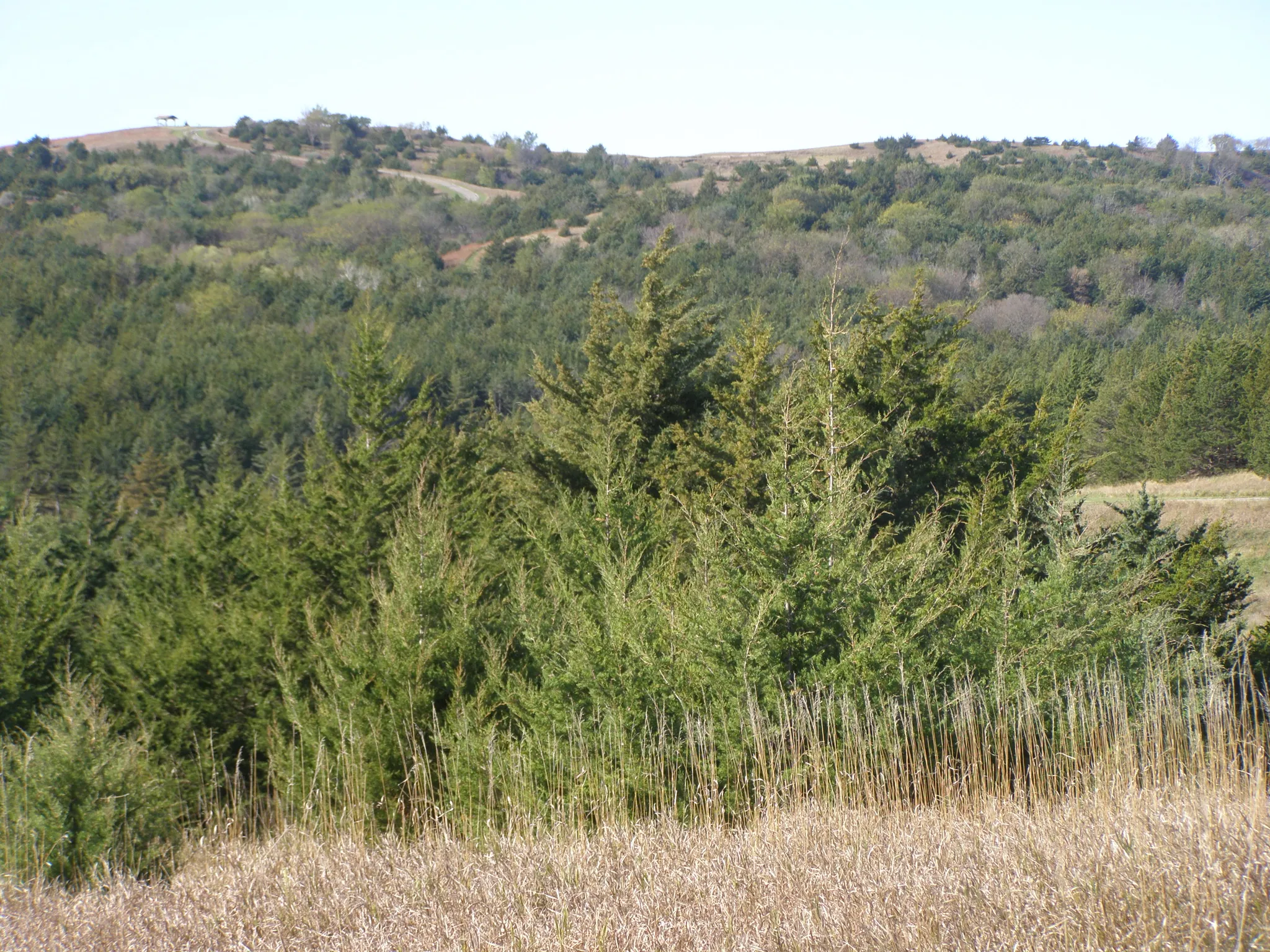 Niobrara State Park