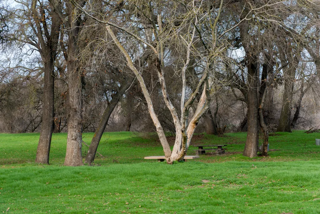 George Hatfield Group Campground