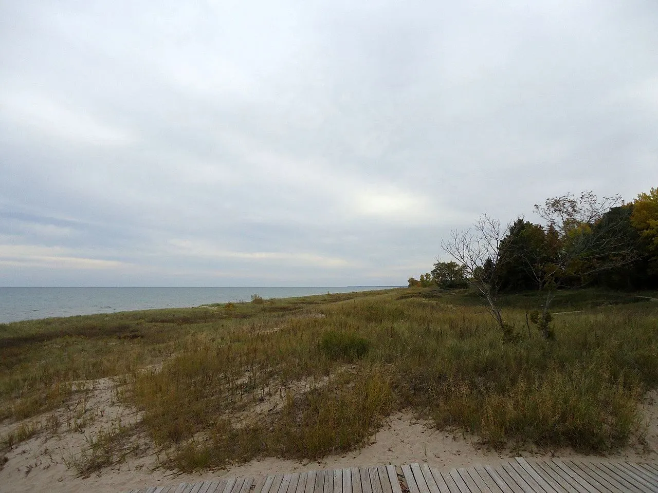 Kohler-Andrae State Park