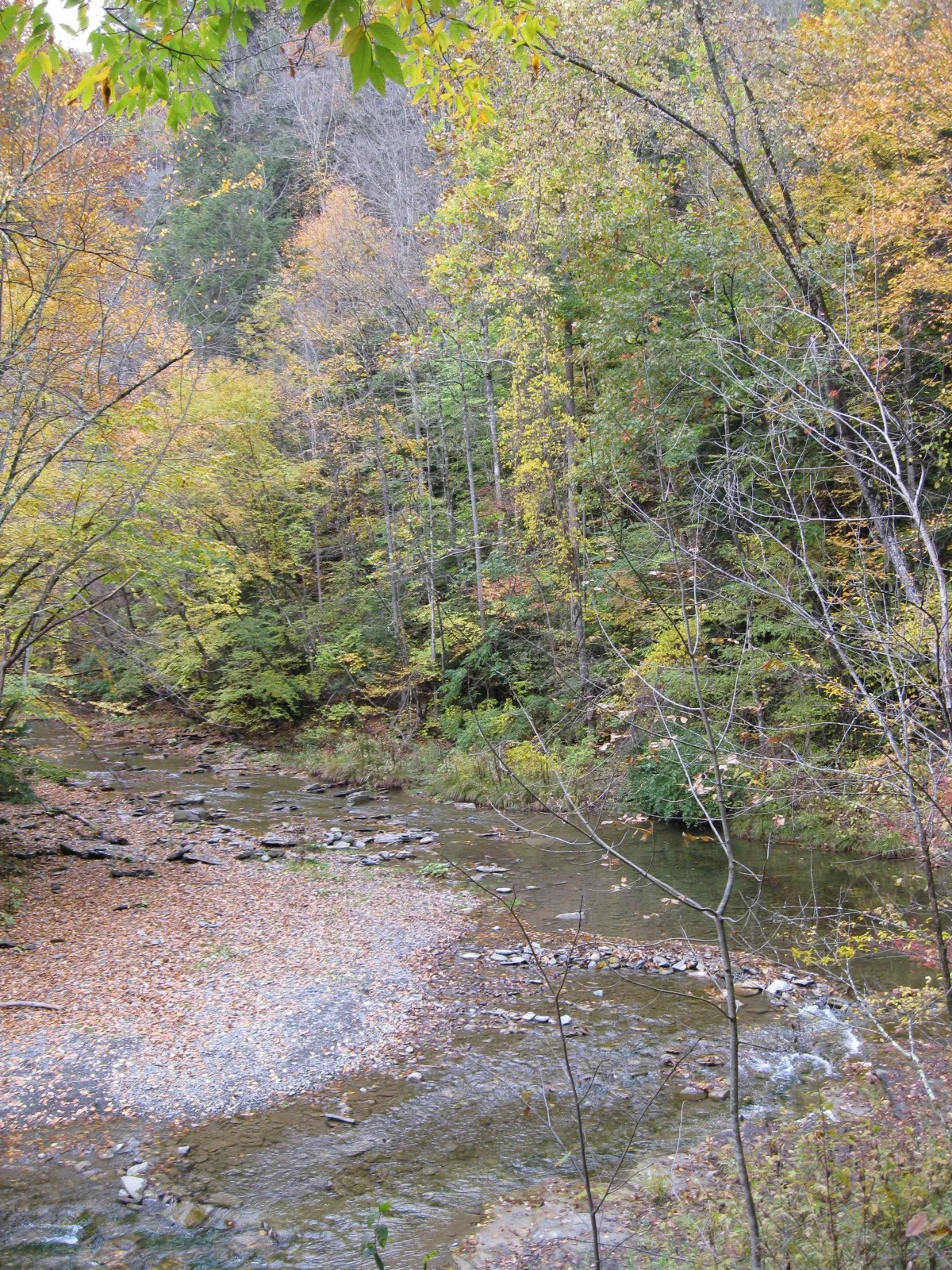 Robert H Treman State Park