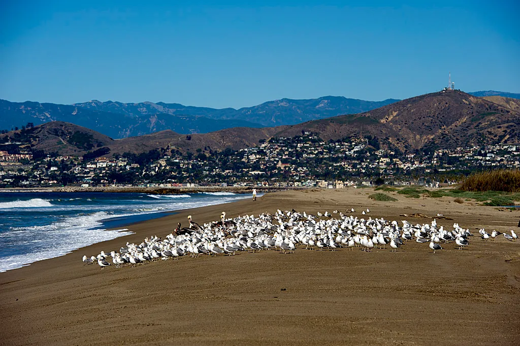 Mcgrath State Beach Campground