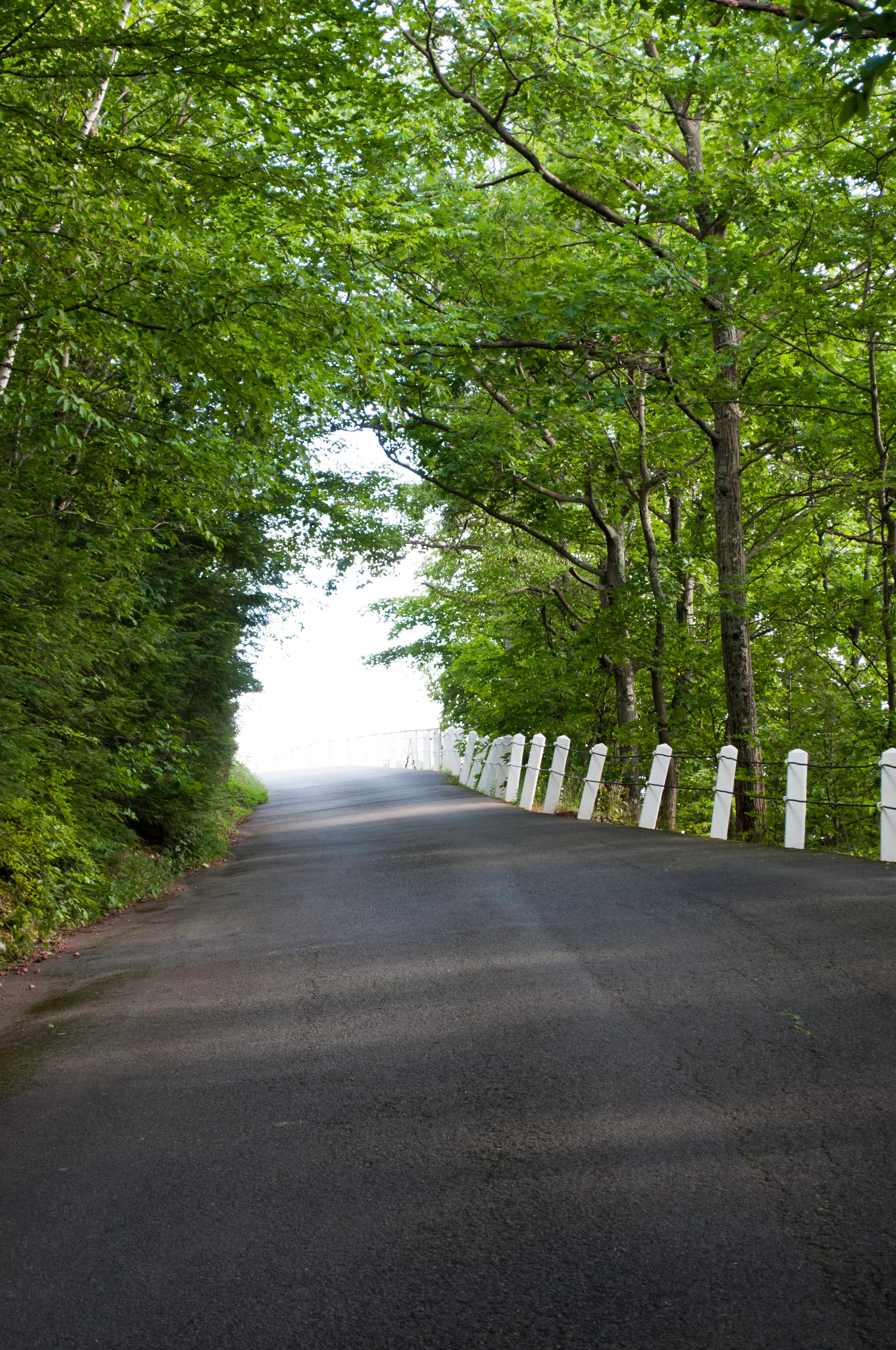 Mt. Sugarloaf State Reservation