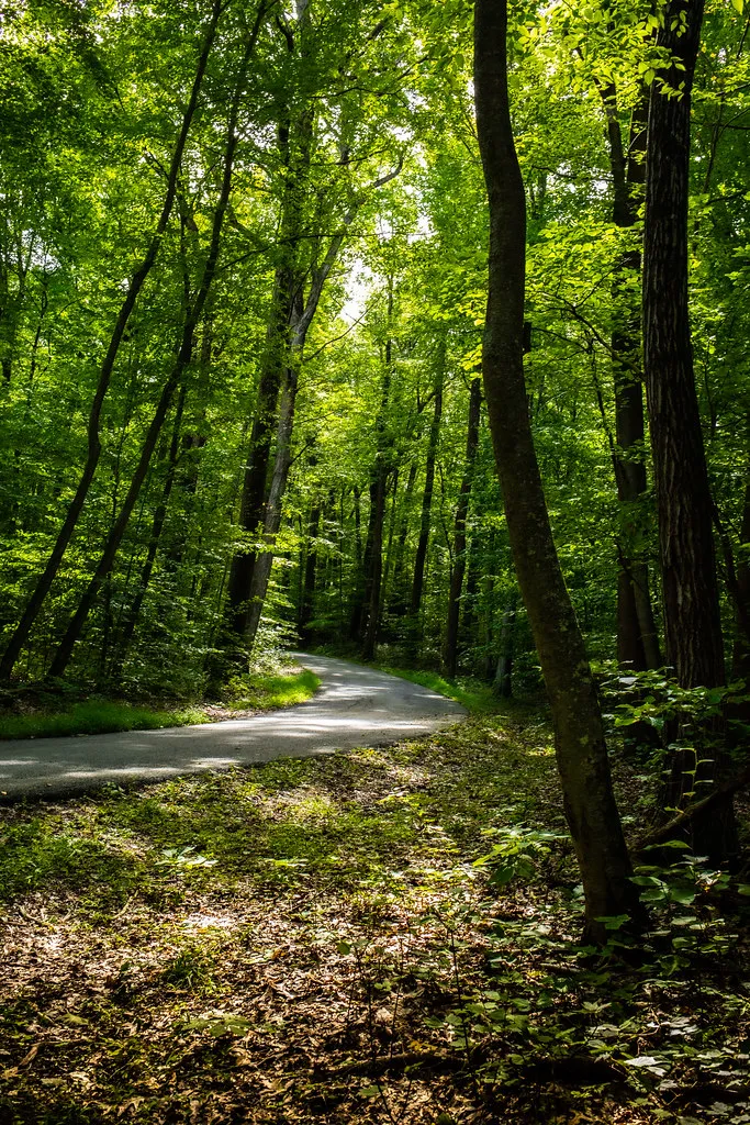 Voorhees Campground