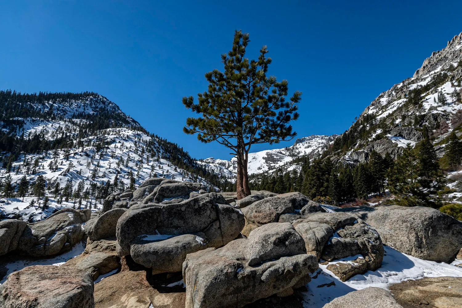 Pine Campground