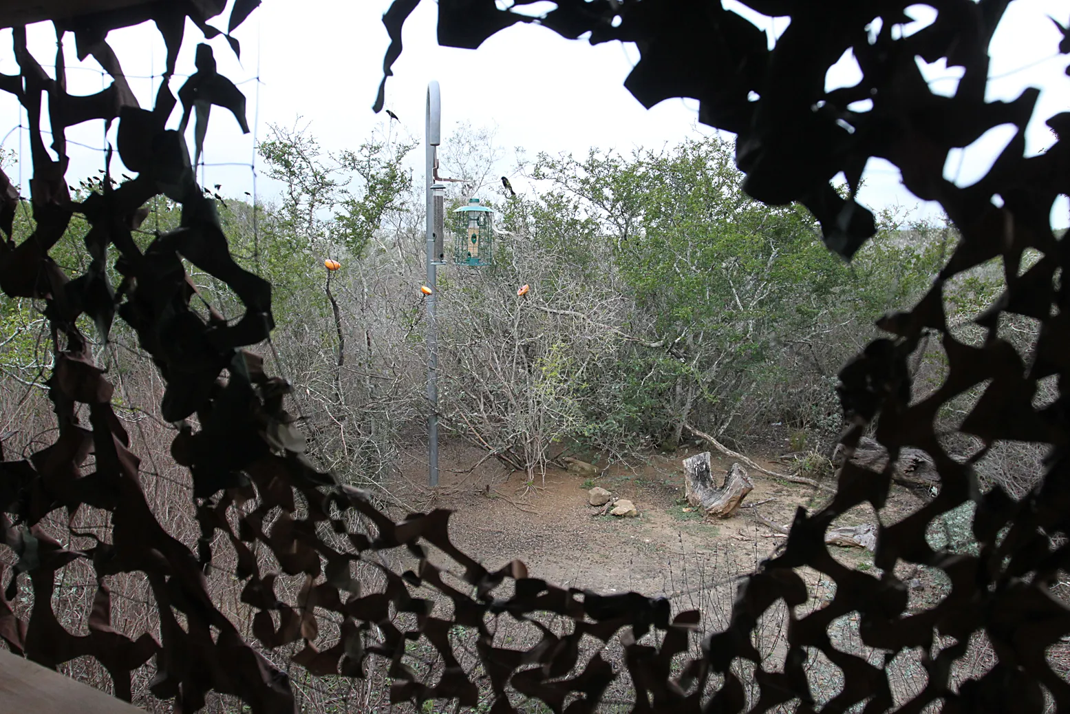 Falcon State Park