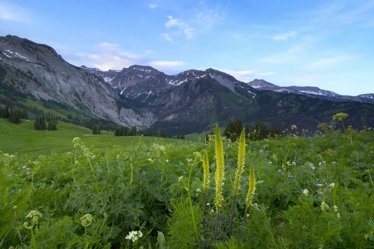 Hoback Campground