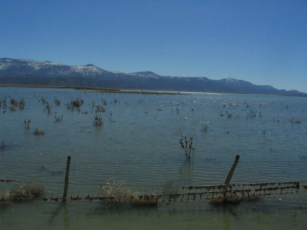 Salt Plains State Park