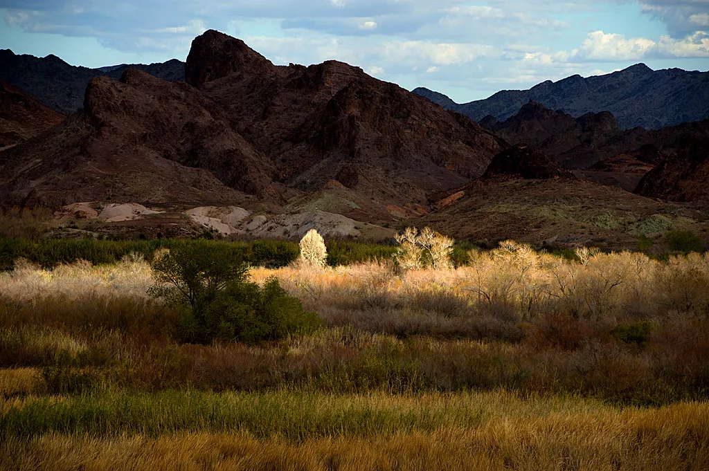Main - 54 Primitive/Undeveloped Campground