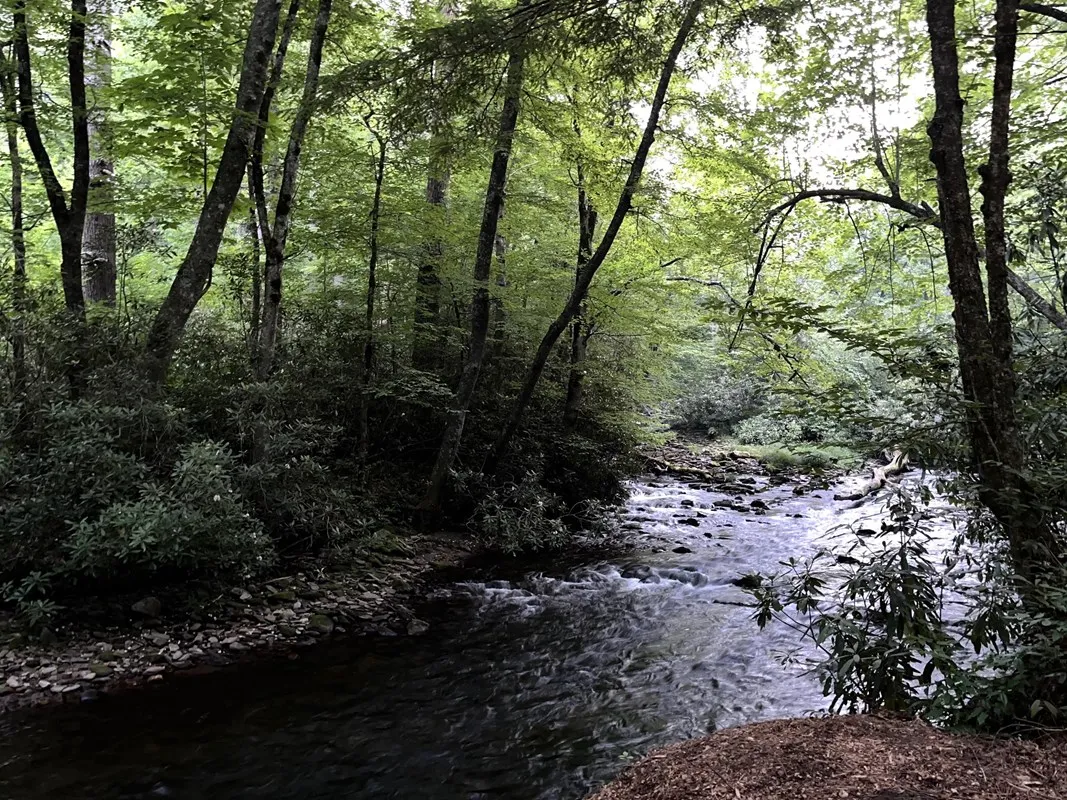 Cataloochee Group Camp