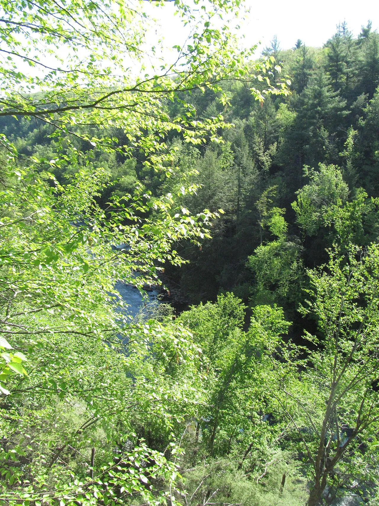 Swallow Falls State Park