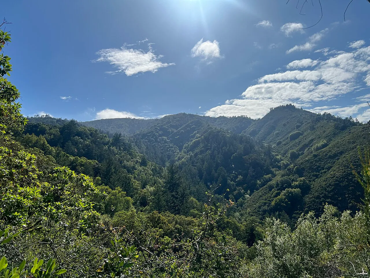 Uvas Canyon