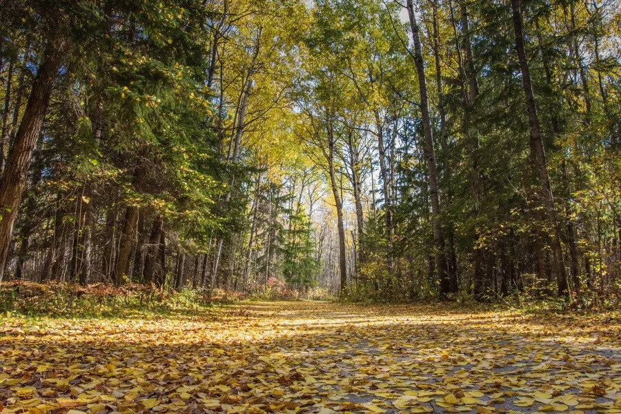 Anglers Campground