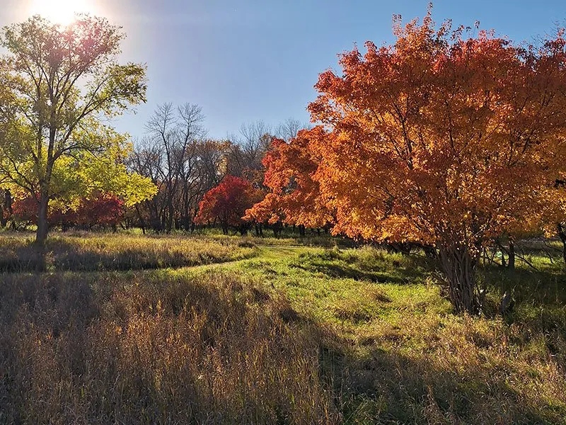 Meadowbrook Area Campground