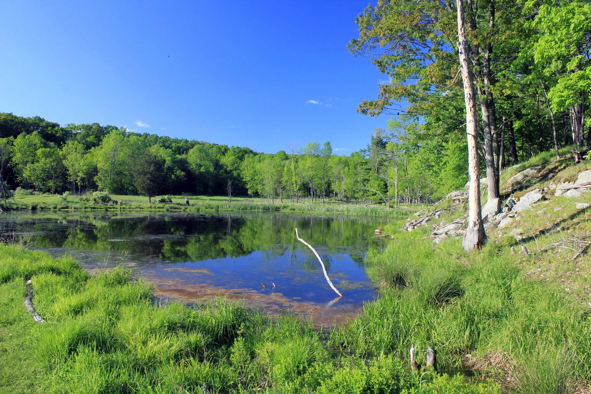 Wellesley Island State Park