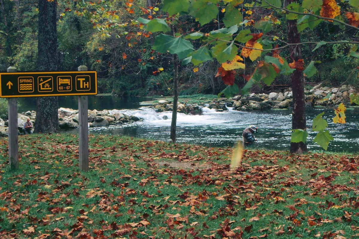 Campground 1