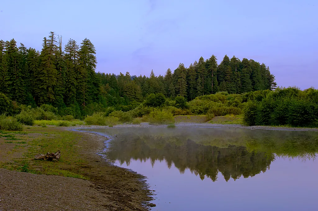 Azalea Campground