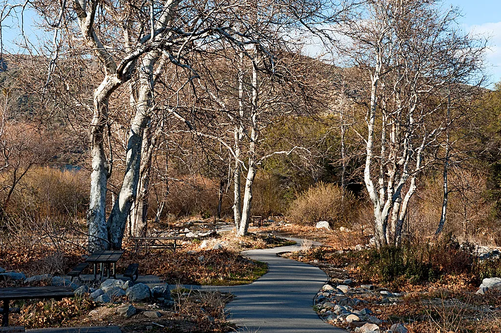 Old Mesa Campground
