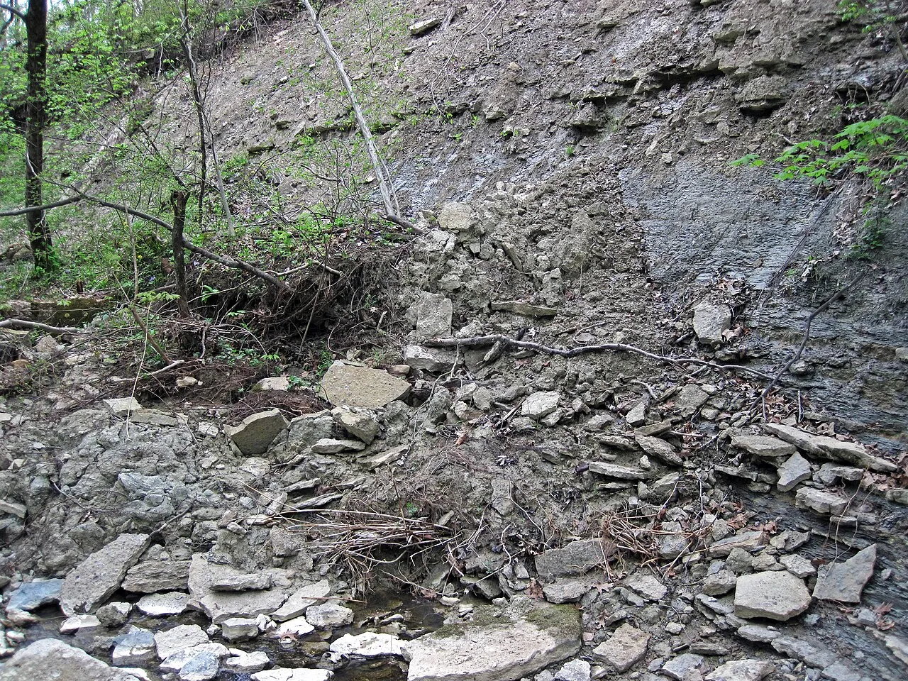 Caesar Creek Camp Loops A, B, C