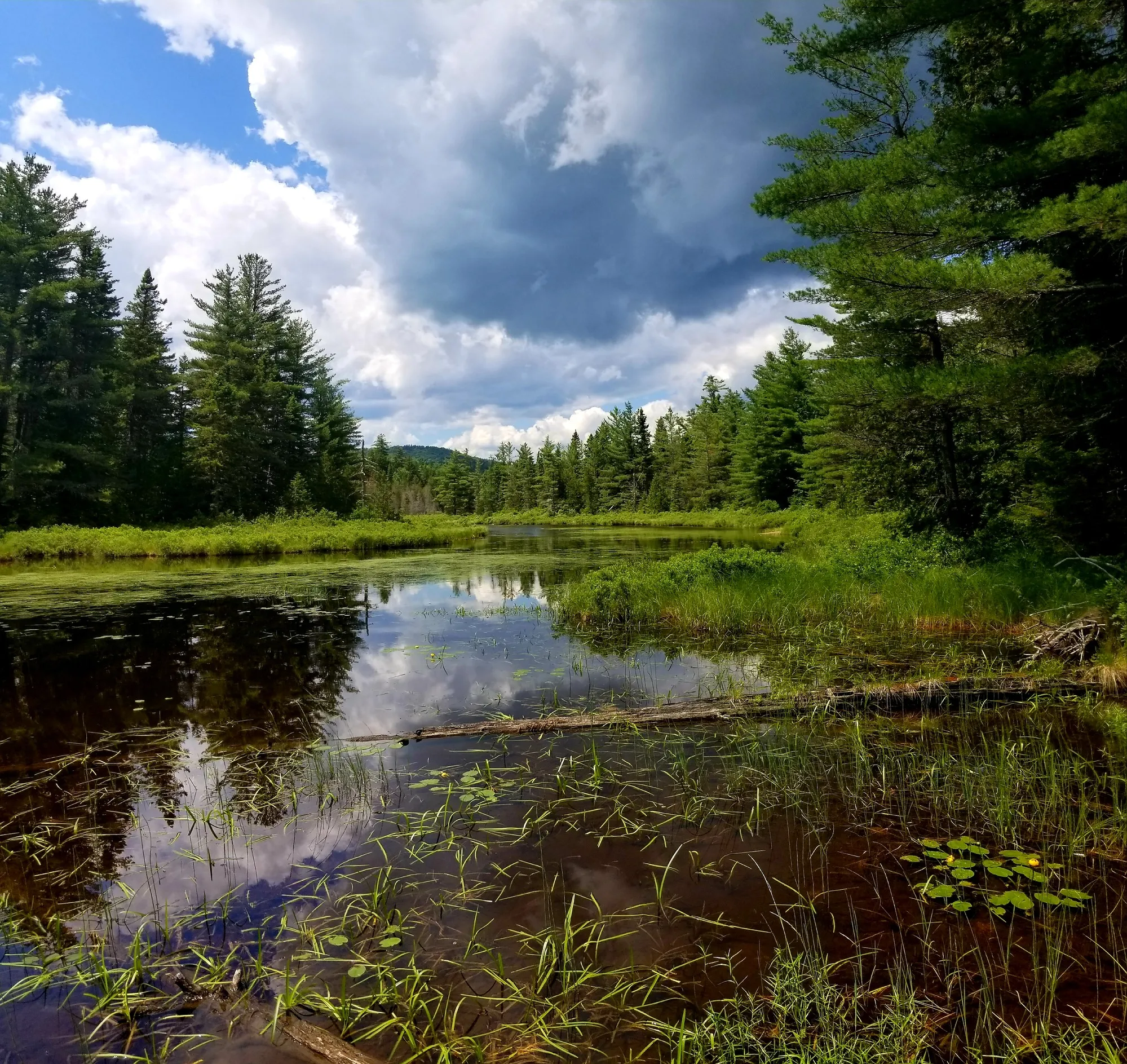 Sandbank Stream