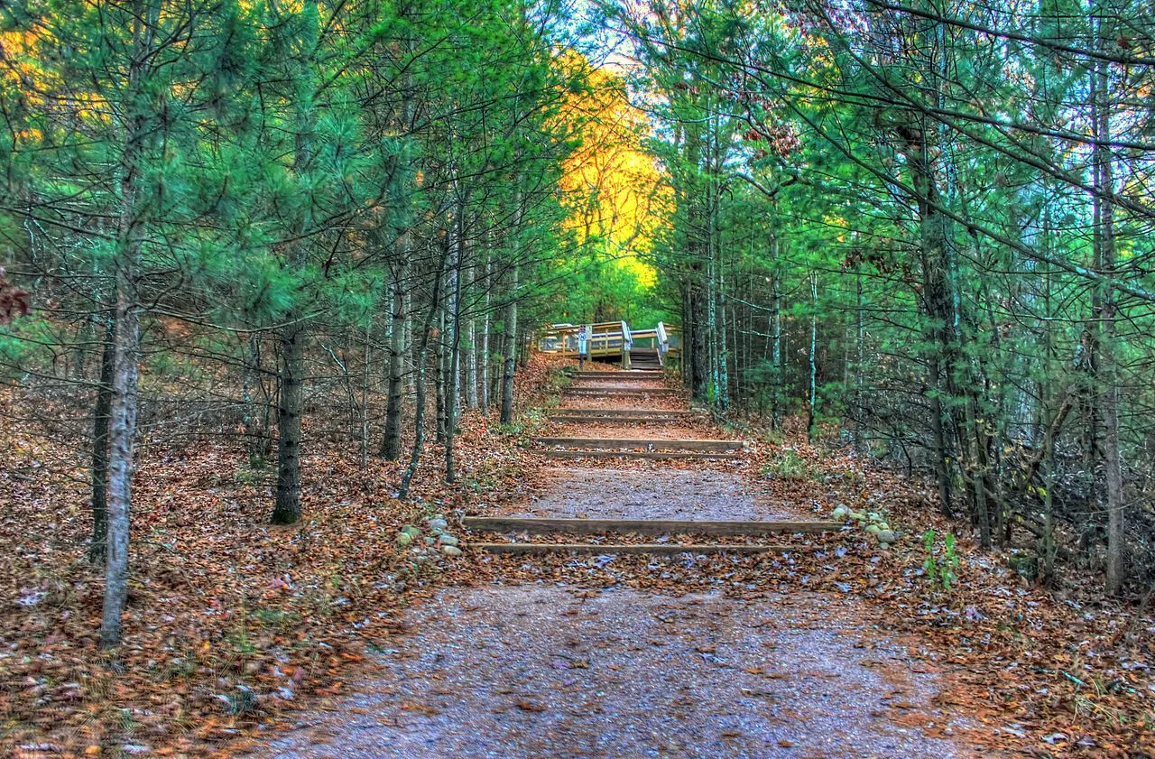 Roche-A-Cri State Park